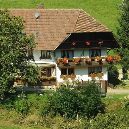 Schusselehof Διαμέρισμα Oberprechtal Εξωτερικό φωτογραφία